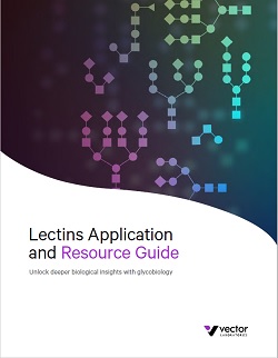 VEC社 Lectin Application and Resource Guide